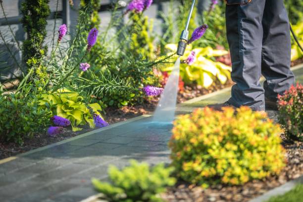 Best Pool Deck Cleaning  in Fair Lawn, NJ
